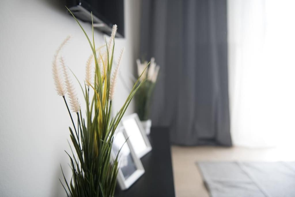 Markopoulosapartments Nea Moudhania Exteriör bild