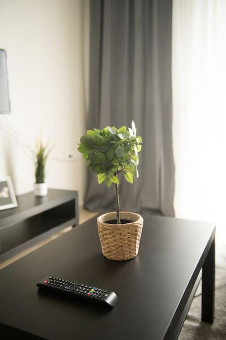 Markopoulosapartments Nea Moudhania Exteriör bild
